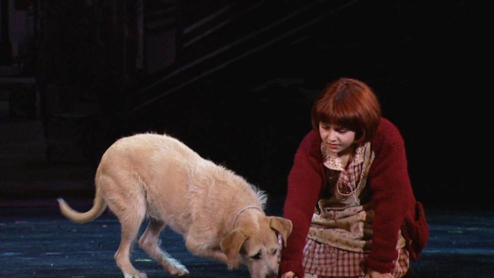 Article image for Broadway production of ‘Annie’ generates economic impact of $1.5 million in Syracuse