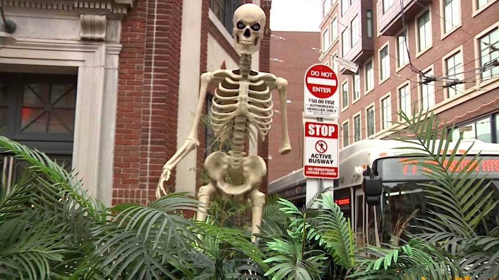 Article image for Arm stolen from giant skeleton decoration outside Mass. restaurant