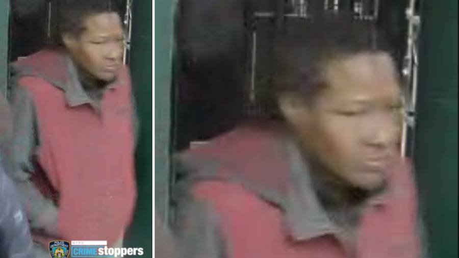 Article image for Woman grabs 5-year-old boy, runs in Brooklyn attempted kidnapping