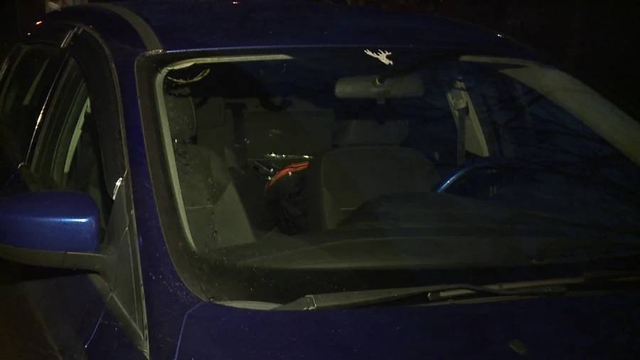 Article image for Rocks thrown from overpass damage several vehicles on I-680 in Youngstown