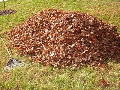 Article image for Chattanooga Updates Brush, Bulk Trash, And Leaf Collection For City Residents