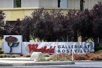 Article image for Activewear retailer joining Westfield Galleria at Roseville