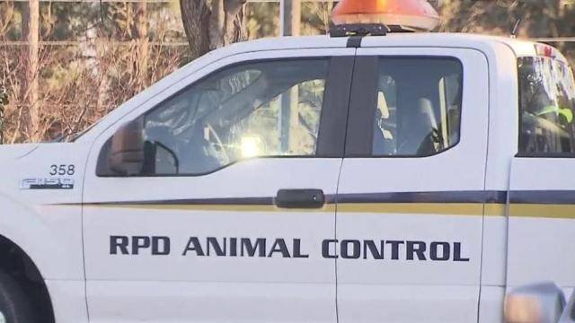 Article image for Raleigh PD: Animal control find nearly two dozen cats and dogs, owner cited for animal cruelty