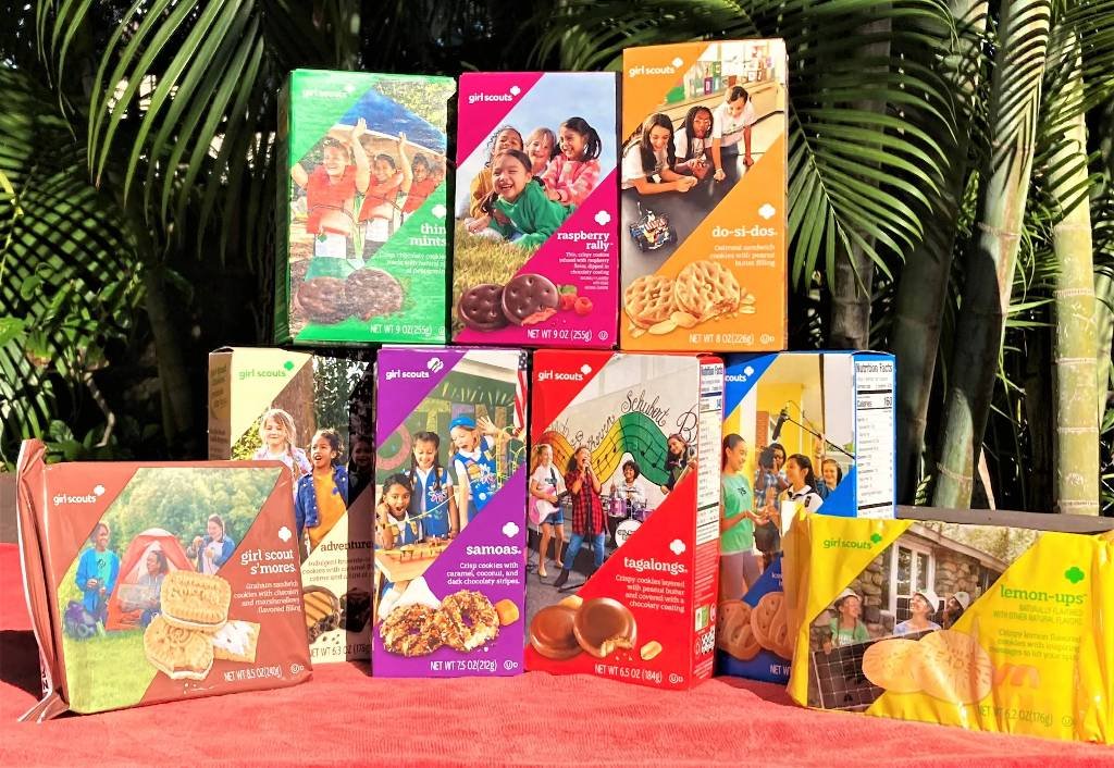 Article image for It’s Girl Scout cookie season! What to know about prices, flavors and where to buy in El Paso