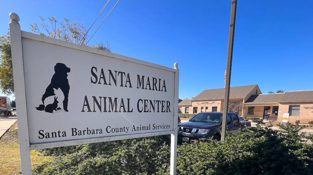 Article image for Santa Maria Animal Center running out of kennel space, urgent need for foster families