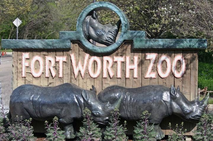 Article image for Fort Worth Zoo steps up security after mysterious animal disappearances in Dallas