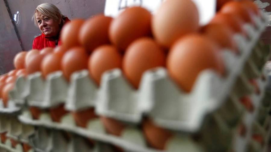 Article image for Local farmers sell eggs at a lower cost