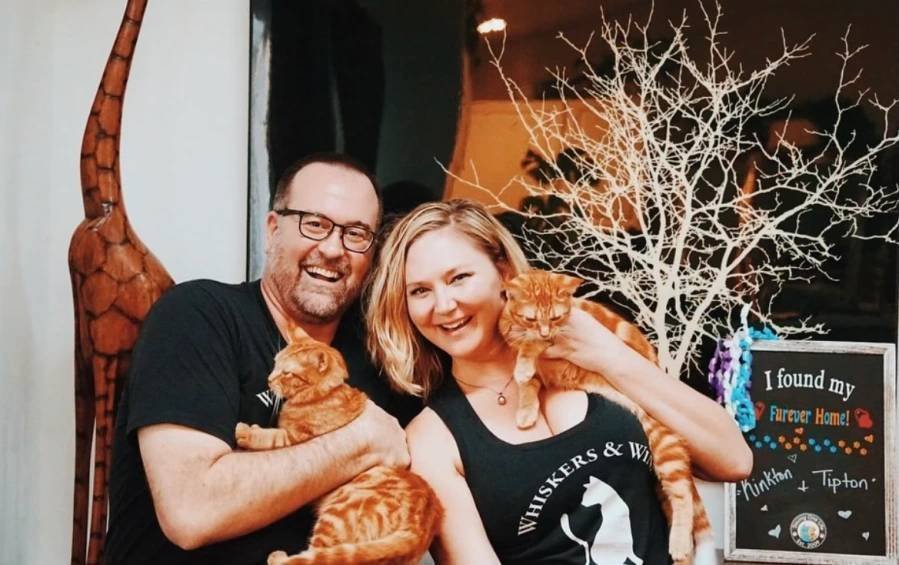 Article image for This North Park bar has the ‘purrr-fect’ combination: cats and cocktails
