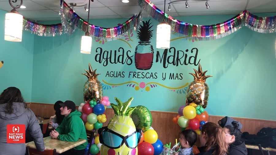 Article image for Biz Buzz: New drink shop serves popular Mexican beverage