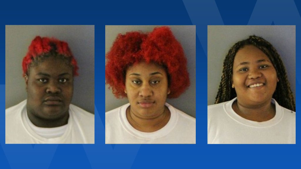 Article image for 3 Lee County women arrested as suspects in Port Charlotte tequila theft