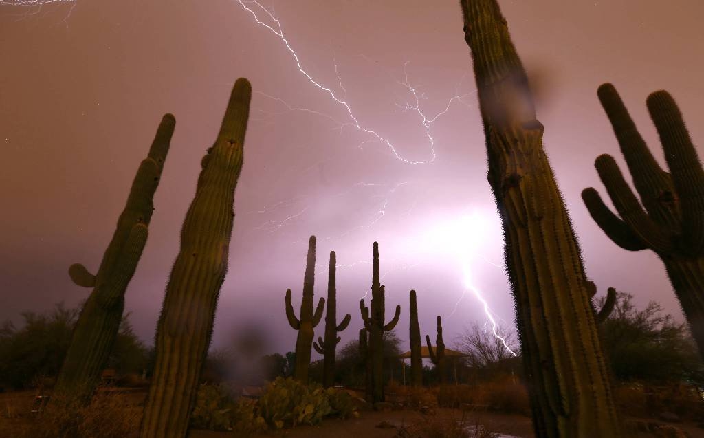 Article image for Farmers’ Almanac forecasts a warm spring for Arizona