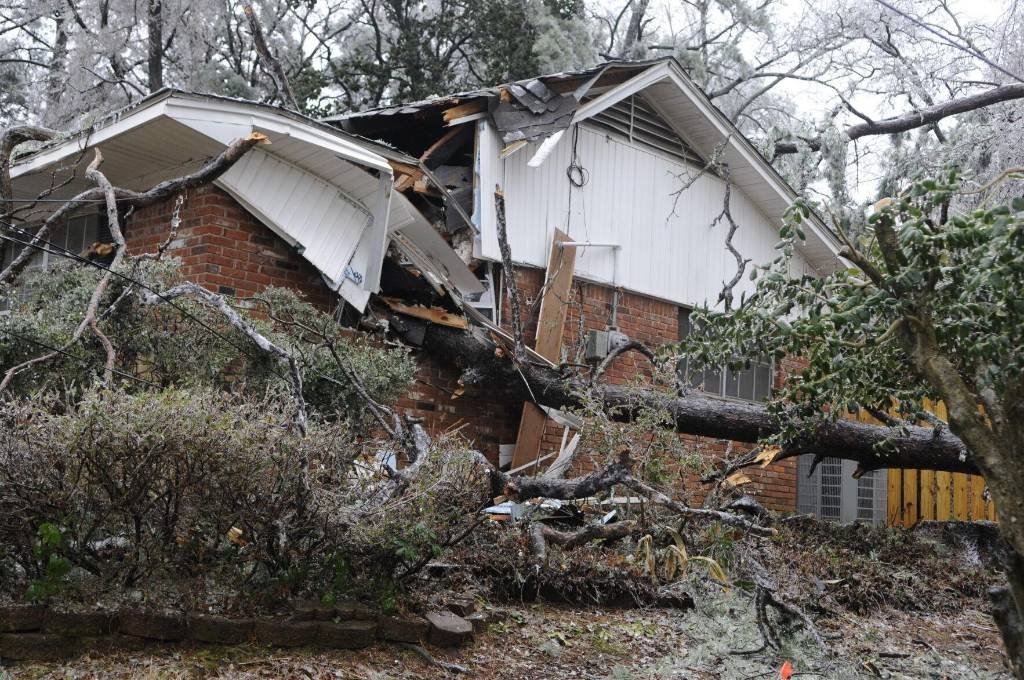 Article image for When a tree falls, does your insurance apply?