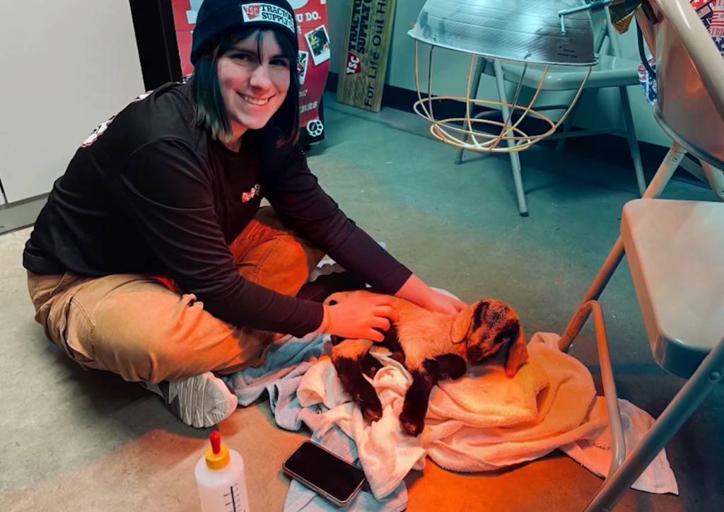 Article image for Employee provides care to baby goat who was ‘lifeless’ and brought to Antioch store