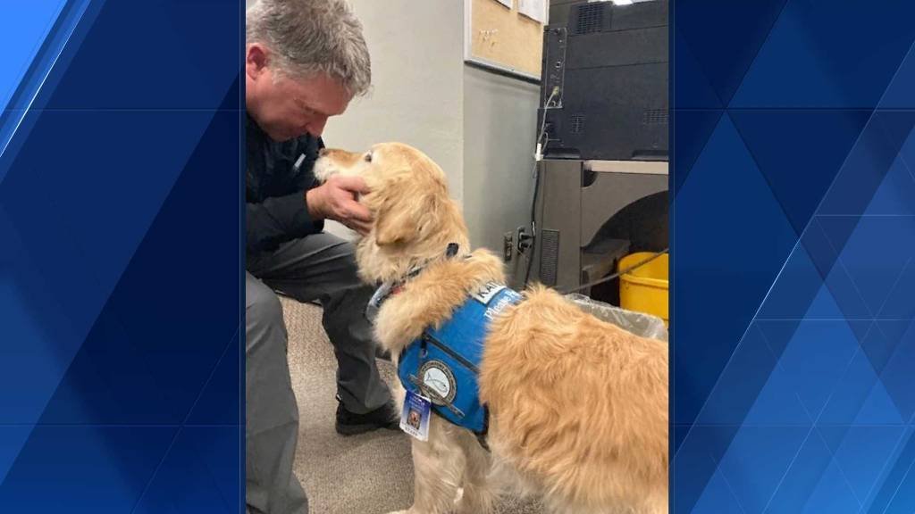 Article image for After a ‘difficult week,’ Omaha police officers receive boost from comfort dogs