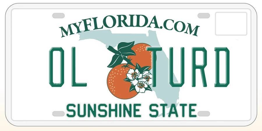 Article image for LIST: Florida rejected over 500 personalized license plates in 2022