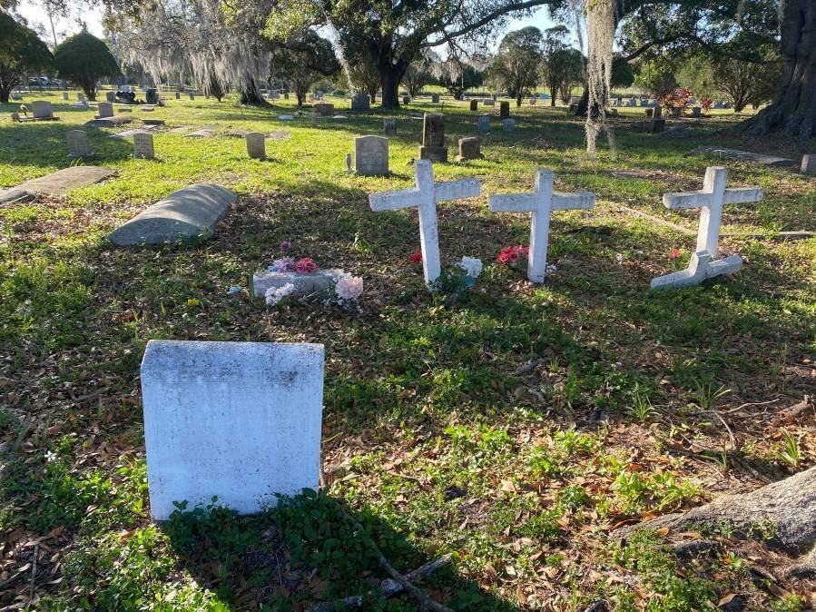 Article image for Families fearful after Memorial Park Cemetery ownership changes hands