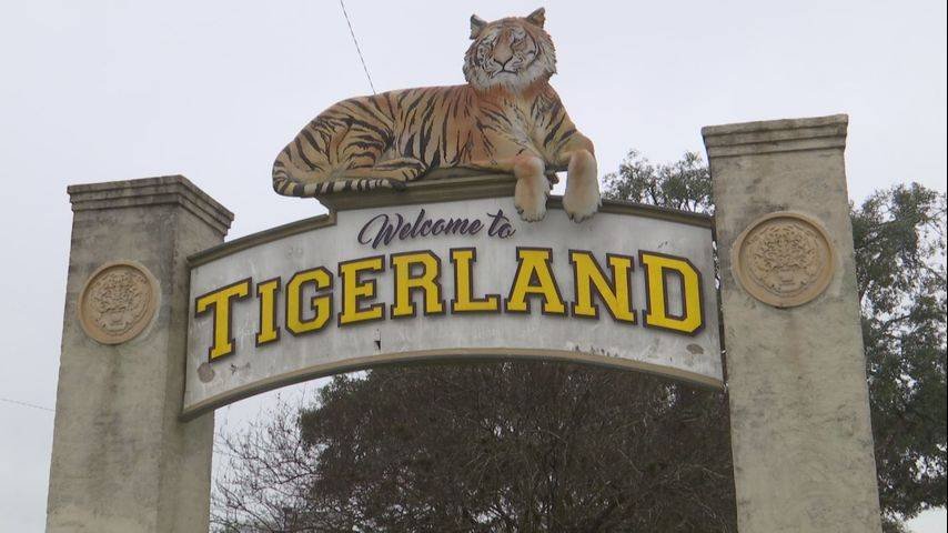 Article image for Tigerland bar actively training employees to promote safer nights out