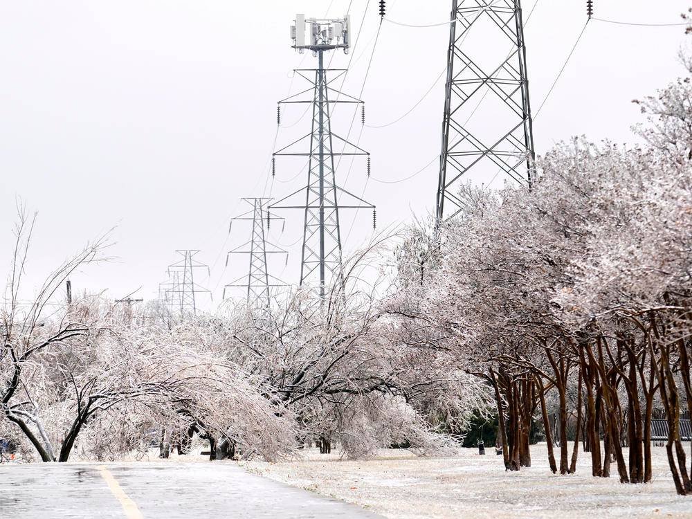 Article image for Texas ice storm leaves hundreds of thousands without power
