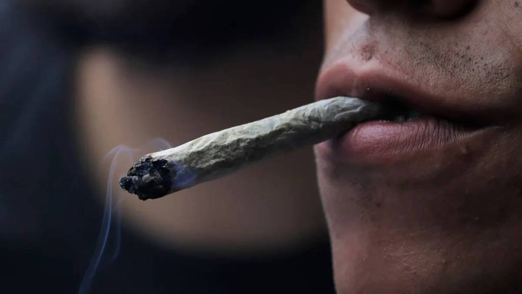 Article image for Recreational Marijuana Amendment in Florida Moves Step Closer to 2024 Ballot