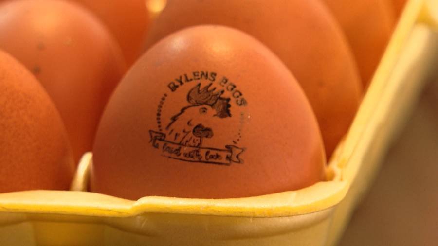 Article image for North Carolina bakery relies on kid entrepreneur to cut egg costs