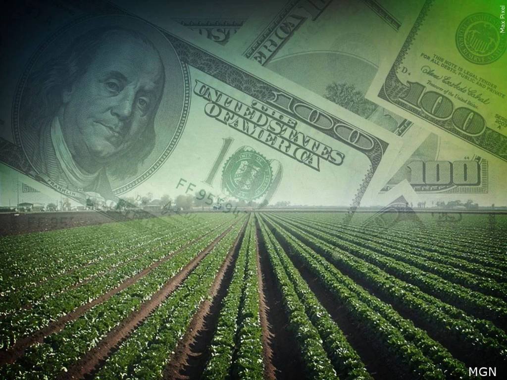 Article image for Help could be coming for Nebraska farmers who can’t afford soaring property taxes