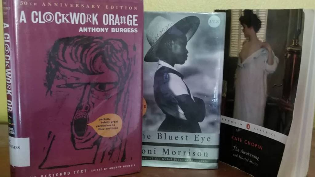 Article image for Pinellas schools remove book by Nobel-winning Toni Morrison