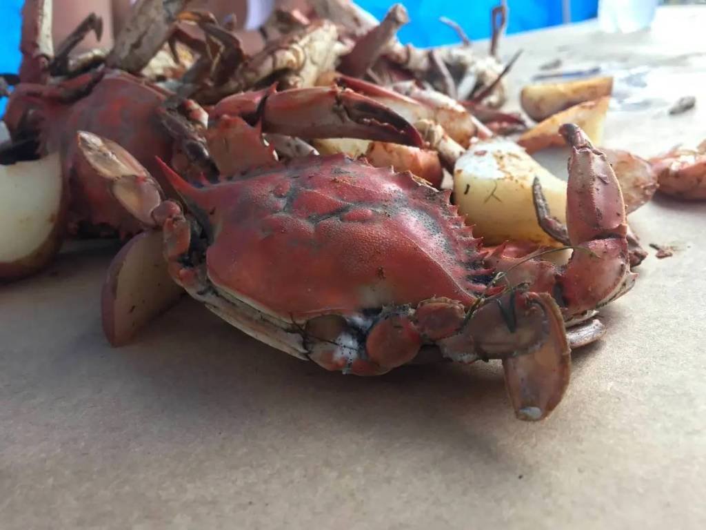 Article image for Crab Seasoning Spike + 4 Businesses Close + Gas Stove Ban: MD Top News