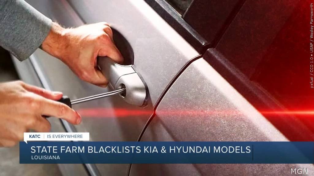 Article image for Blacklist policy for Kias and Hyundais in effect