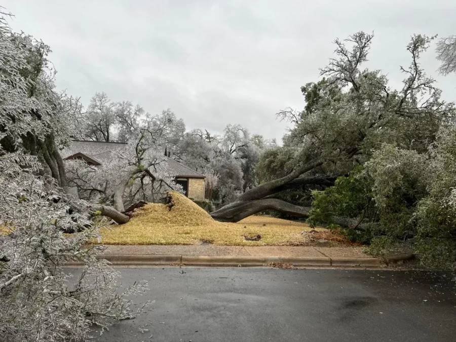 Article image for Gov. Abbott urges Texans to report ice storm damage