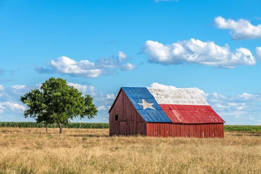 Article image for Texas Ag Commissioner urges Texas farmers, ranchers to fill out 2022 census