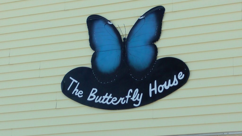 Article image for Butterfly House at Wheeler Farms preparing for grand reopening