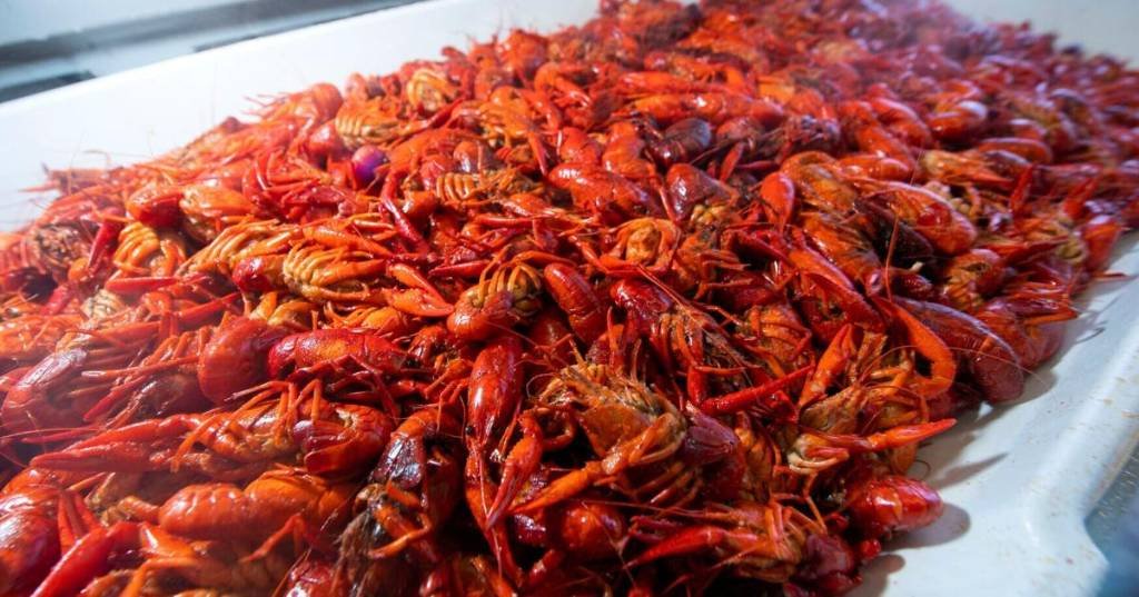 Article image for Crawfish prices are dropping in Louisiana as the season, demand heats up
