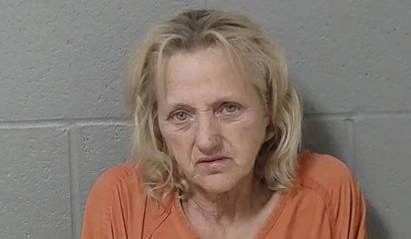 Article image for Edwardsburg woman living with 29 dogs gets probation