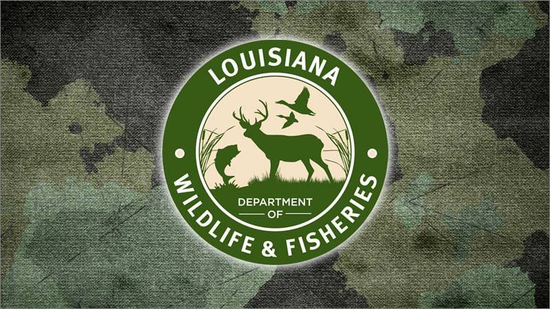 Article image for LWFC adopts amendments to 2023-25 hunting reg NOI regarding deer and turkey tags