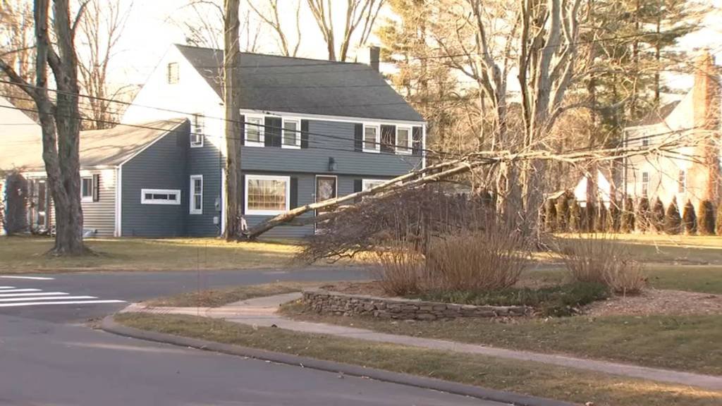 Article image for Wind Gusts Bring Down Trees, Power Lines Across the State Amid Brutal Cold Temps