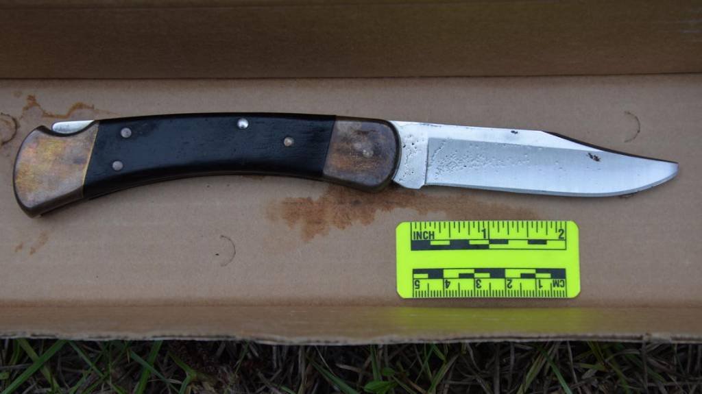 Article image for Photos of knife allegedly used in stabbing of Tristyn Bailey made public