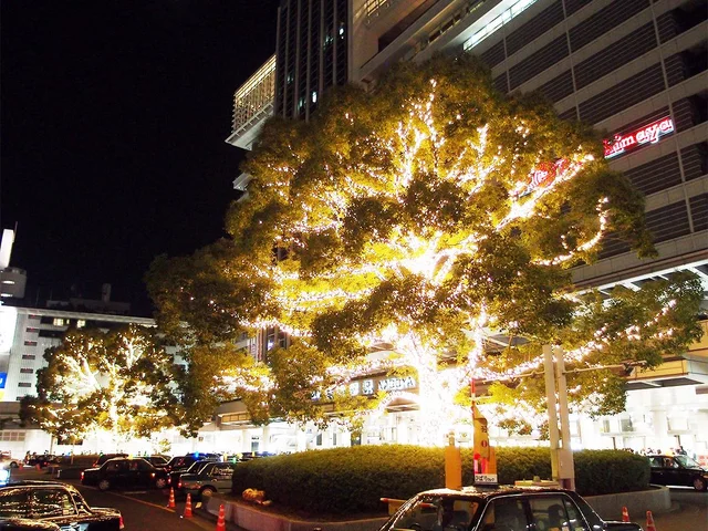 光るブロッコリー 気まぐれヲタ日記