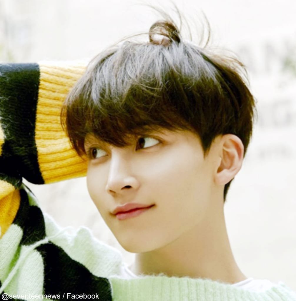 Seventeen ジョンハン じつは あの歌詞 によって 独特すぎる習慣 が身についていた ホギーのブログ